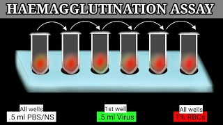 Haemagglutination Assay  HA Assay  HA Test [upl. by Persse]