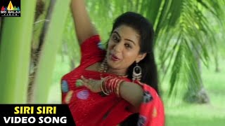 Pellaina Kothalo Songs  Siri Siri Muvvalle Video Song  Jagapathi Babu  Sri Balaji Video [upl. by Ridgley]