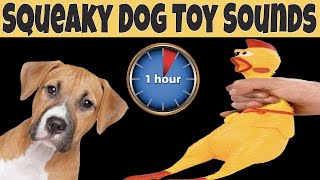 Squeaky Toy Dog Toy Sounds 1 Hour  DOG TOYS ONE HOUR [upl. by Odyssey]