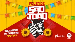 O Melhor São João do Brasil  Festa Junina  Playlist atualizada 2023 [upl. by Nakashima]