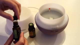 How to use a diffuser for your Essential Oils [upl. by Ikkin]