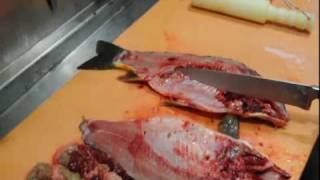 Karpfen zerlegen und filetieren  How to cut and filet carp [upl. by Mays120]