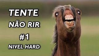 Tente Não Rir Nível Hard 1 [upl. by Omidyar]