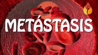 Serie Metastasis Epi 662 HDTv720p 2014 [upl. by Gaylene]