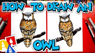 How To Draw A Realistic Owl [upl. by Fair]