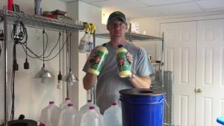 How To Get Started In Hydroponics [upl. by Pearce]