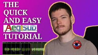 The Quick and Easy Aegisub Subtitle Tutorial [upl. by Limhaj]