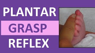 Plantar Grasp Reflex in Infant Newborn  Pediatric Nursing Assessment [upl. by Tecla]