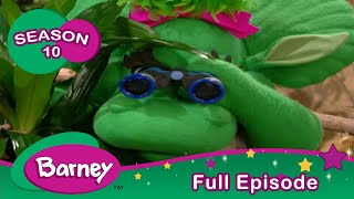 Barney  FULL Episode  Rabbits  Season 10 [upl. by Ozzie335]