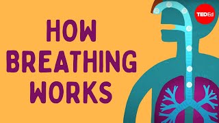 How breathing works  Nirvair Kaur [upl. by Kramer241]