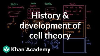 History and development of cell theory  Cells  MCAT  Khan Academy [upl. by Liuka]