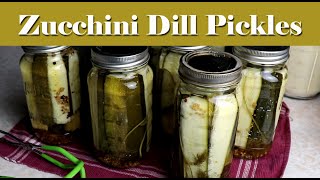 Zucchini Dill Pickles  Preserving the Harvest [upl. by Assital]