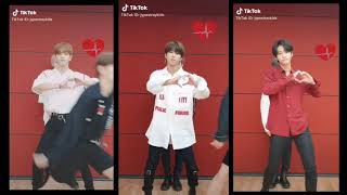 Stray Kids CPR Dance on Tiktok [upl. by Ysnap]