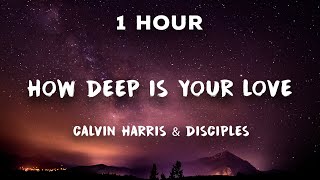 1 Hour How Deep Is Your Love  Calvin Harris amp Disciples  1 Hour Loop [upl. by Ainuj]