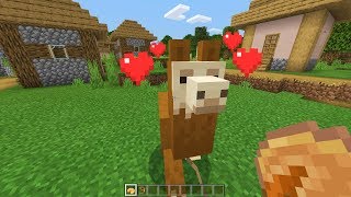 How To Tame And Ride A Llama In Minecraft [upl. by Akinorev]