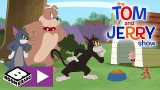 Tom amp Jerry  Matforvirringen  Boomerang Norge [upl. by Ehtnax]