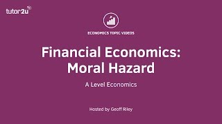 Financial Economics  Moral Hazard [upl. by Kalli]