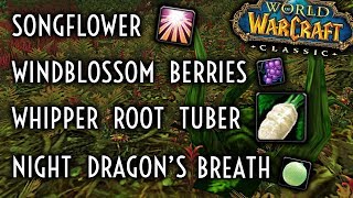 WoW Classic Guide  Whipper Root TubersSongflowersWIndblossom BerriesNight Dragons Breath [upl. by Georgiana]