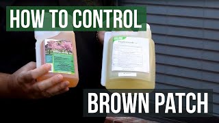 How to Control Brown Patch Fungus with Honor Guard PPZ Fungicide Propiconazole [upl. by Lorilyn]