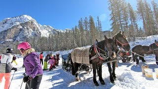 The hidden valley Alta Badia a ski run ending with a horse tow [upl. by Hgielrebmik]