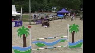 Chute de cheval en concours RISSA DU VIVIER [upl. by Nauqit]