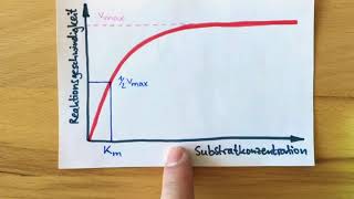 MichaelisMentenKonstante [upl. by Drawe]