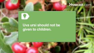 How to Use Uva Ursi [upl. by Hcirdla502]