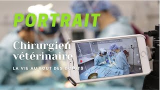 Comment devenir chirurgienvétérinaire [upl. by Aruat]