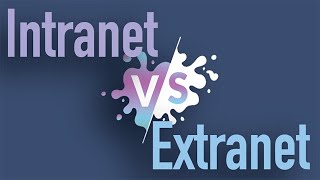 Intranet vs Extranet [upl. by Raffin]