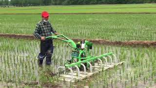 paddy field mechanical weeding machine [upl. by Adnohsak]