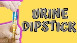 Home Tests for UTI Using “Urine Dipstick” with Dr Robert Chan at Home [upl. by Cordey833]