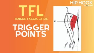 TFL Trigger Point Release  How to Release the Tensor Fascia Latae Muscle [upl. by Notlok778]