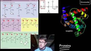 Biological Molecules [upl. by Ruiz]