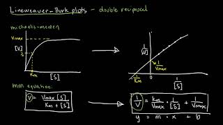 BIOCHEM 22  LineweaverBurk Plots [upl. by Eninnaej451]