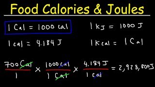 Joules Food Calories amp Kilojoules  Unit Conversion With Heat Energy  Physics Problems [upl. by Lsil58]