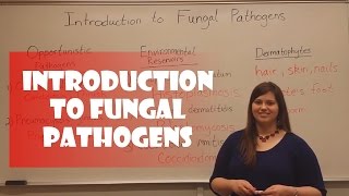 Introduction to Fungal Pathogens [upl. by Reffineg536]