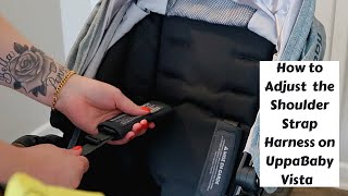 How To Adjust The Shoulder Strap Harness On UppaBaby Vista Stroller [upl. by Chor]