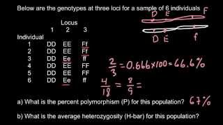 How to calculate perсentage of polymorphism and heterozygosity [upl. by Borroff]