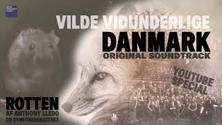 Vilde vidunderlige Danmark  Rotten  DR SymfoniOrkestret YouTube Special [upl. by Tremayne]