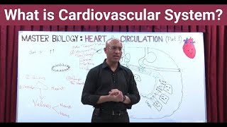 What is Cardiovascular System  Circulatory System  Biology  NEET  GCSE [upl. by Oleta]