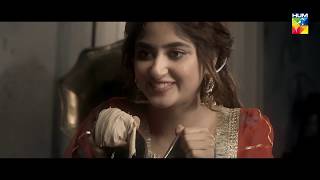 Aangan  OST  HUM TV Drama [upl. by Anerbes411]