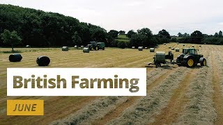 British Farming  12 Months On A UK Farm June [upl. by Bronwen]