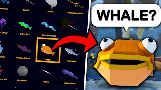 IMPOSSIBLE Guess The FISH CHALLENGE Fisch [upl. by Rainah480]