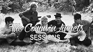 The Common Linnets  Sessions [upl. by Mur]