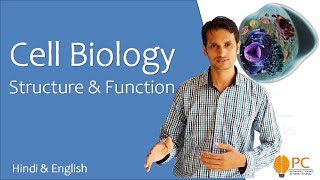 Cell Biology  Human Cell Structure and Functions [upl. by Vijar]