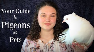 Your Guide to Pigeons as Pets [upl. by Hube]