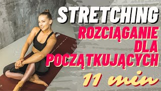 Stretching dla początkujących rozciąganie  Paula Piotrzkowska [upl. by Latreece]