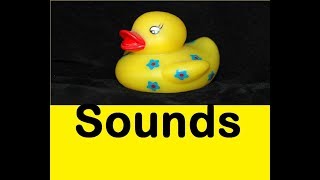 Squeaky Toy Sound Effects All Sounds [upl. by Stannwood]