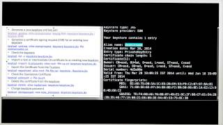 java keytool keystore commands [upl. by Alemaj685]