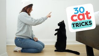 30 Tricks To Teach Your Cat [upl. by Alletsirhc719]